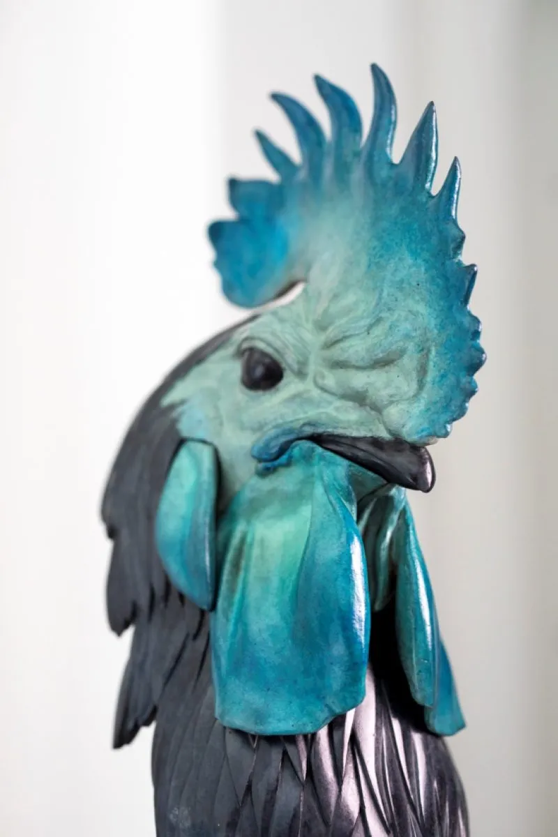 COQ, vue 6