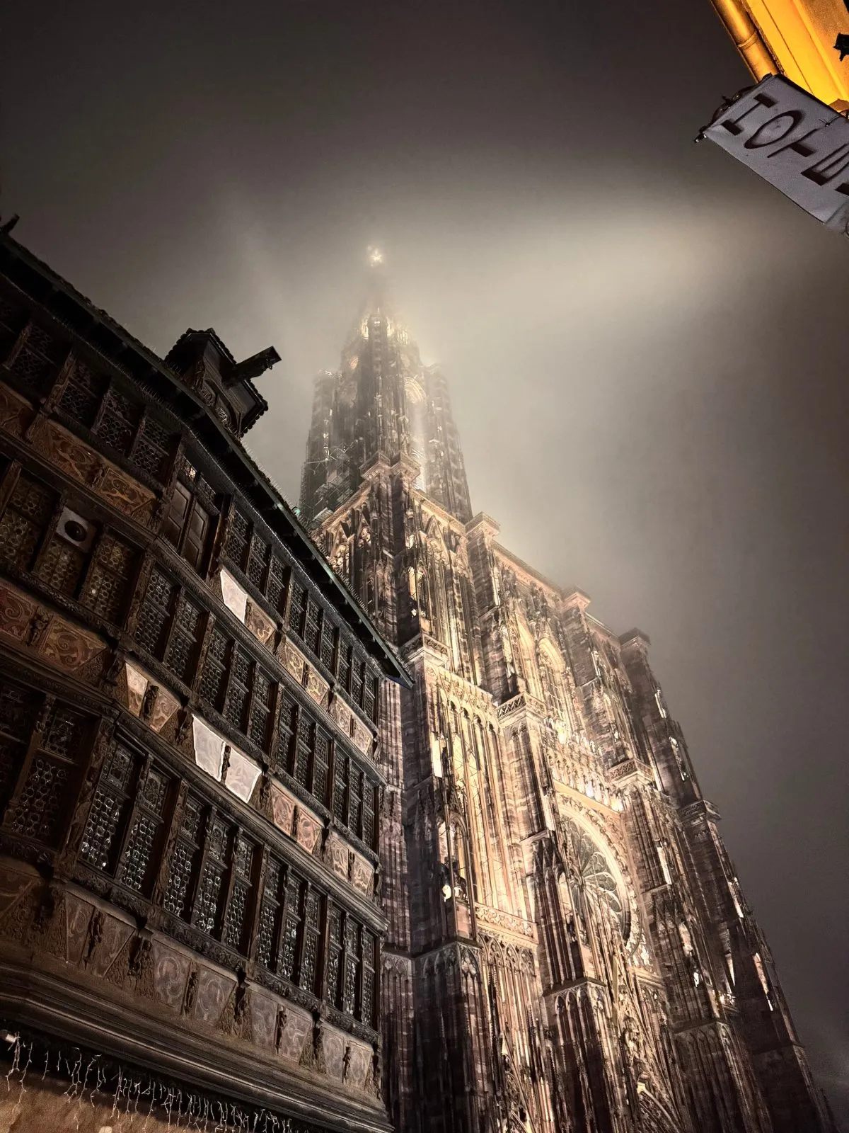 ST-ART Strasbourg, 30e édition, Galerie Calderone
