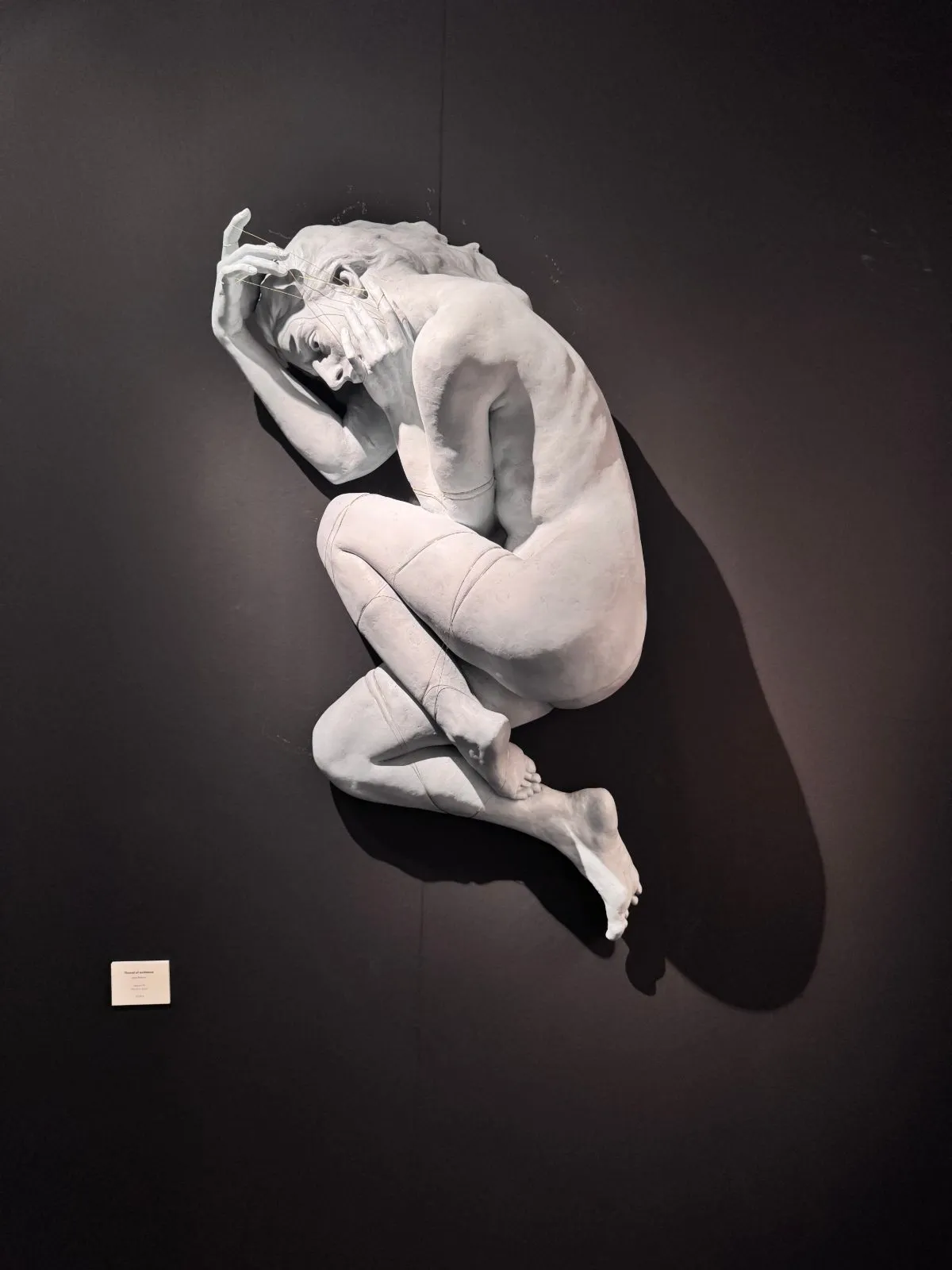 Antibes Art Fair, Galerie Calderone