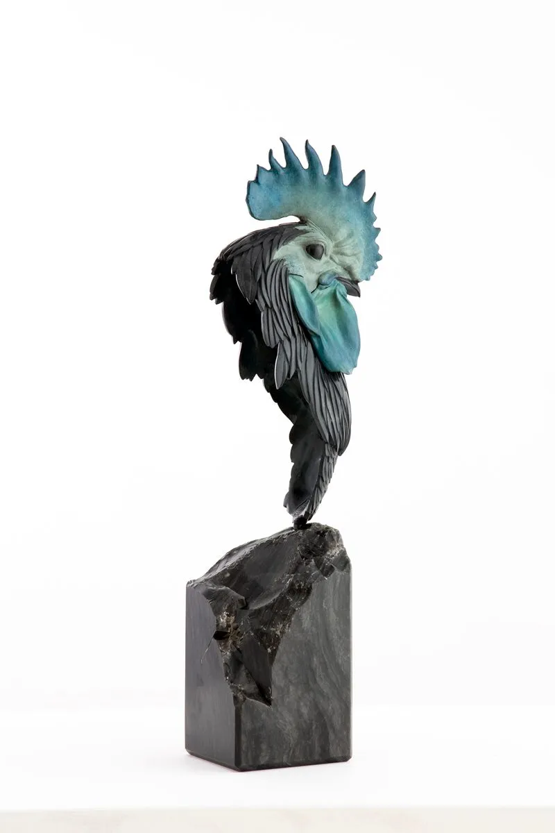 COQ, vue 4